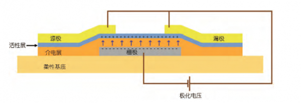 168体育智能电子设备什么是智能电子设备？的最新报道(图2)