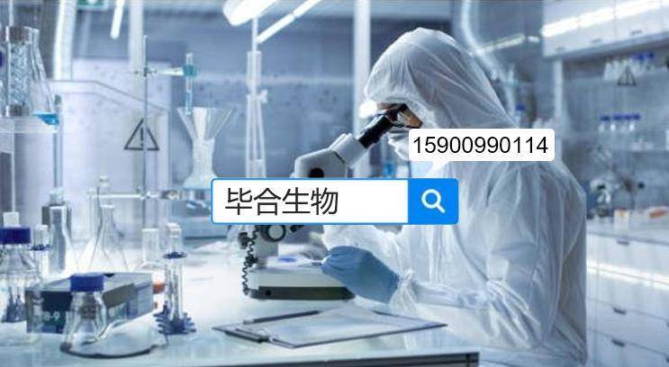 分子生物学实验常用的仪器设备有哪些呢(图2)